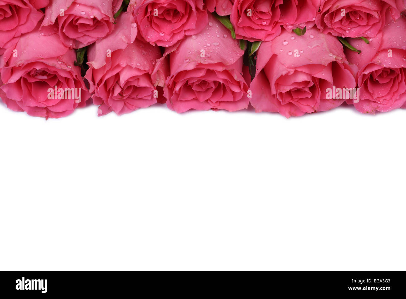 Rose sul compleanno della mamma o il giorno di San Valentino con copyspace Foto Stock