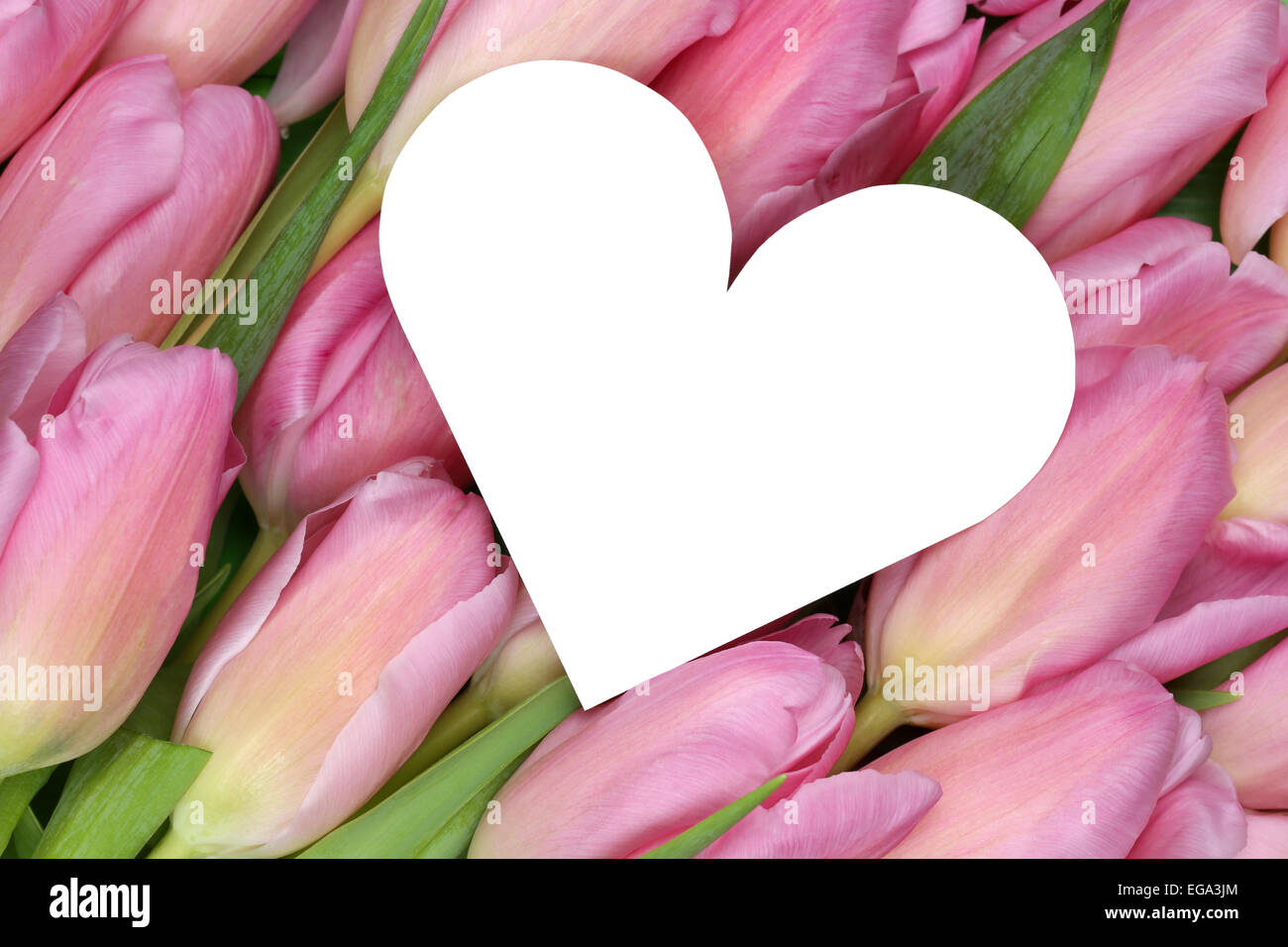 I tulipani fiori con cuore come simbolo dell amore sulle madri o il giorno di San Valentino con copyspace per il proprio testo Foto Stock
