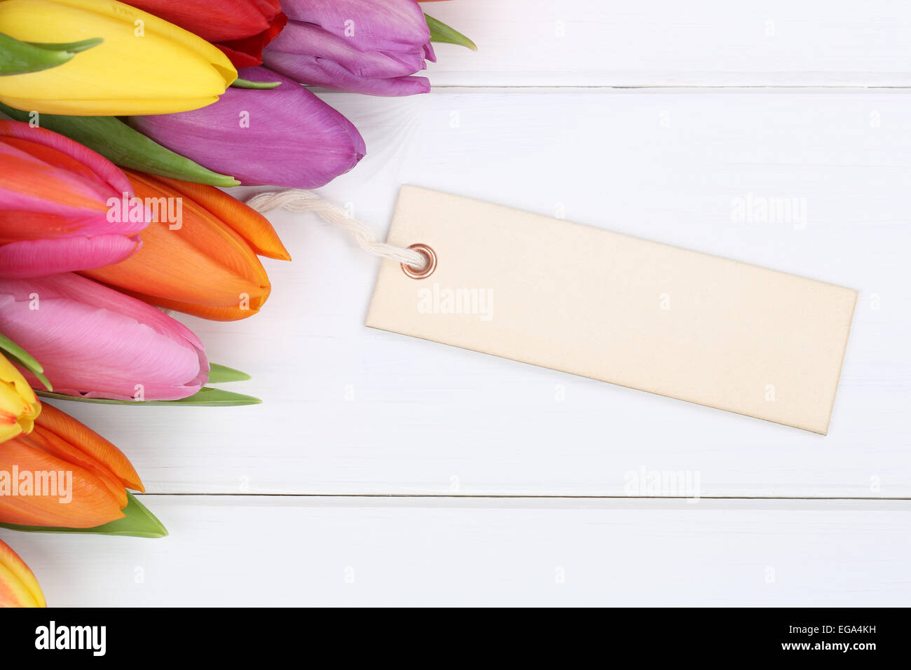 I tulipani fiori in primavera o la festa della mamma con la scheda vuota e copyspace su una tavola di legno Foto Stock