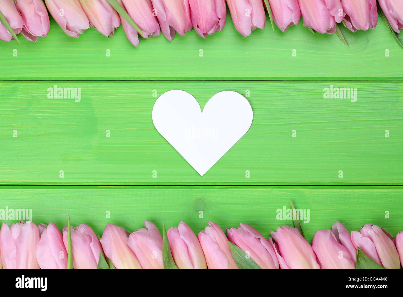 Il telaio da tulipani fiori con cuore come simbolo dell amore sulle madri o il giorno di San Valentino con copyspace per il proprio testo Foto Stock