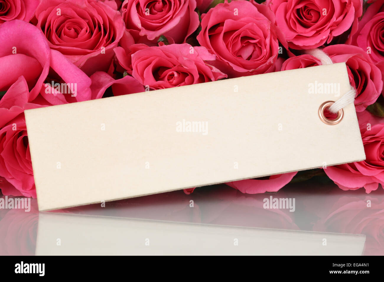 Le rose fiori di San Valentino o la festa della mamma con vuoto della scheda Messaggi di saluto e copyspace Foto Stock