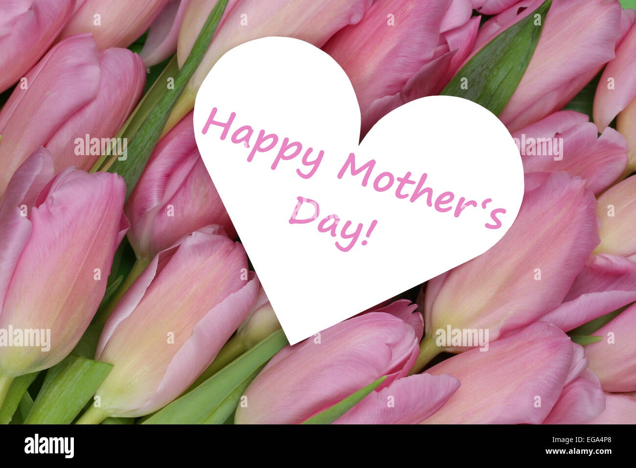 I tulipani fiori per la festa della mamma con cuore amore argomento Foto Stock