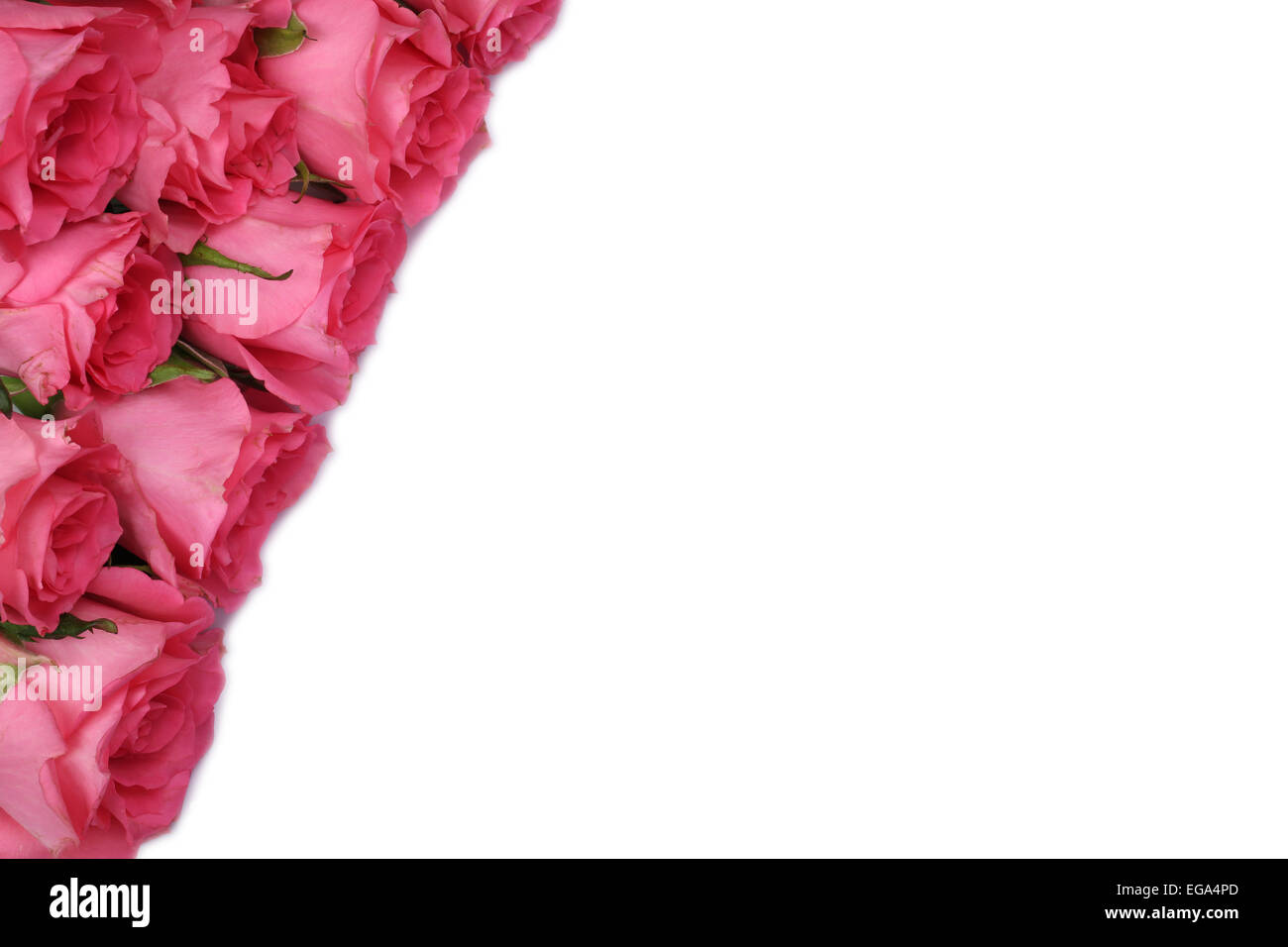 Le rose fiori regalo di compleanno, madre o il giorno di San Valentino con copyspace Foto Stock