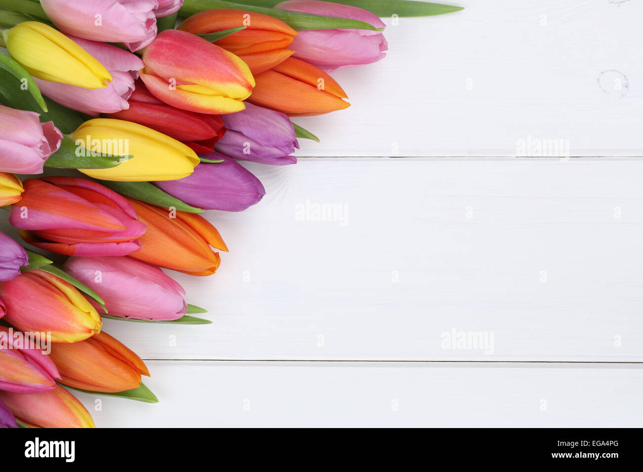I tulipani fiori in primavera o la festa della mamma su tavola di legno con copyspace per il proprio testo Foto Stock