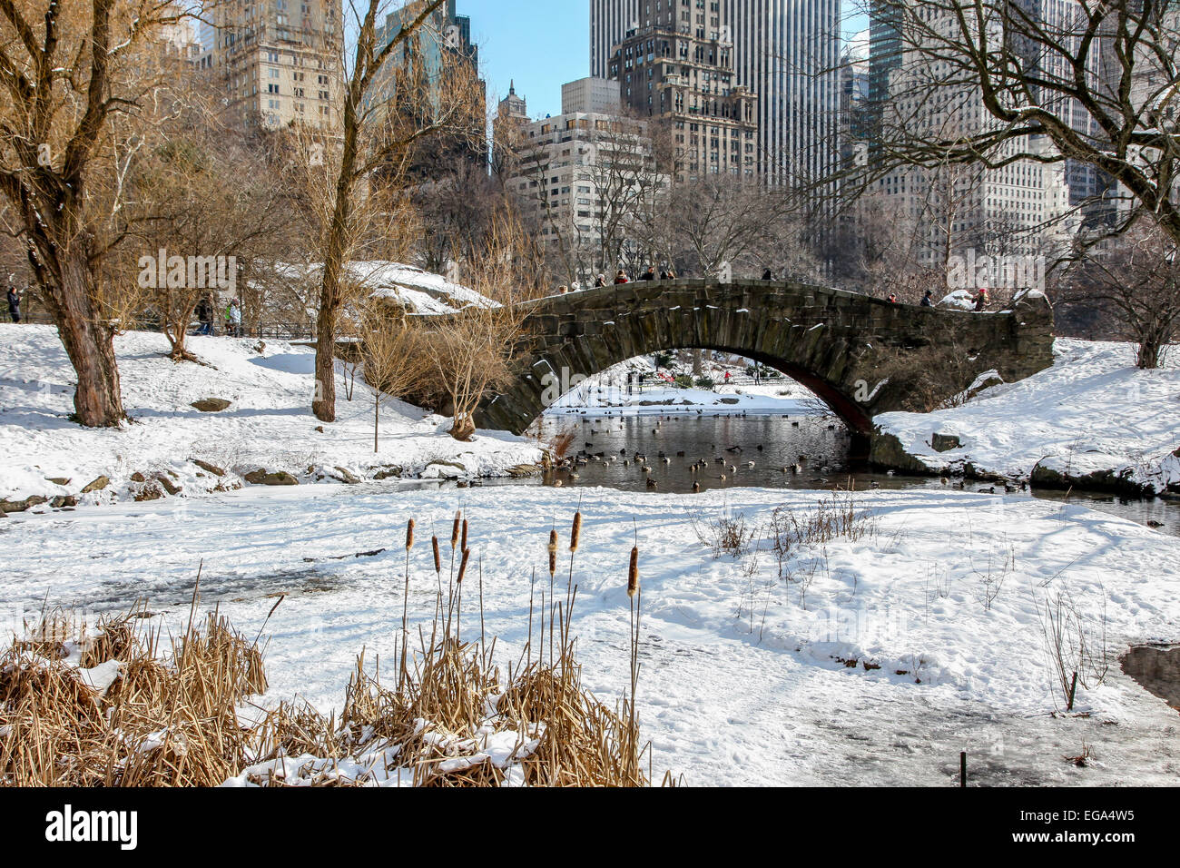 New York, NY, STATI UNITI D'AMERICA. 18 Febbraio, 2015. Vista dal parco centrale vicino anello di ghiaccio in inverno con il ponte di pietra in NYC. Foto Stock