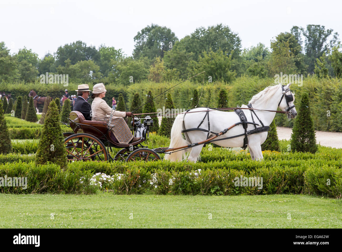 Concorso internazionale per carrelli tradizionali "La Venaria Reale", Carrello: Pistoiese , Cavallo: singolo spagnolo puro,Italia Foto Stock