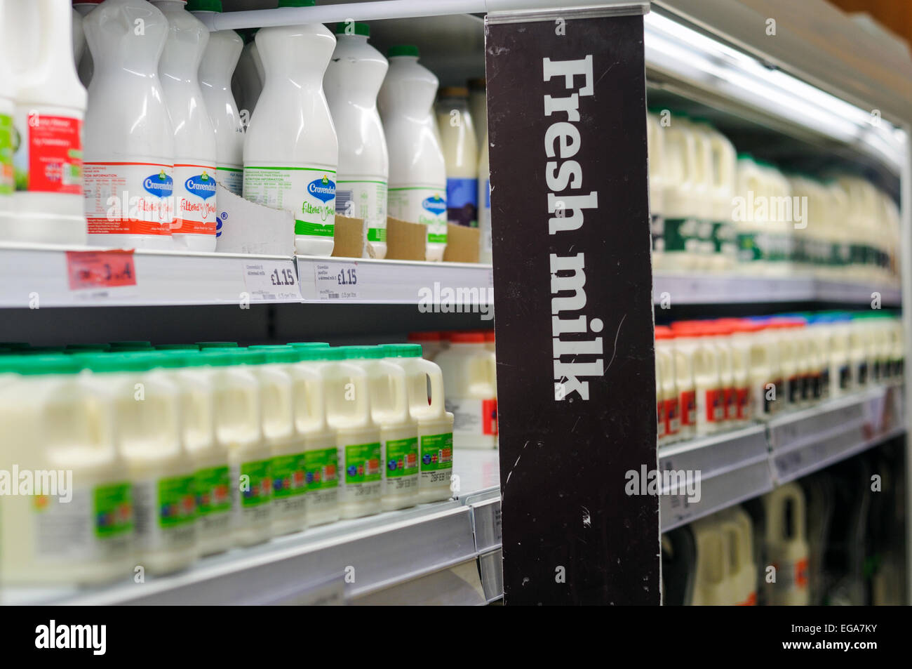 Latte fresco Sainsbury 's supermercato . Foto Stock