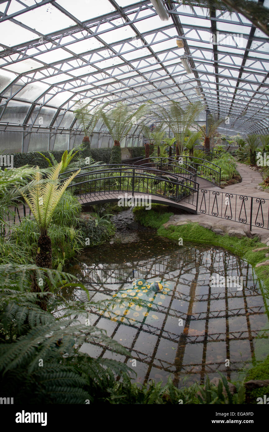 La Casa delle Palme presso i Giardini Invernali in Duthie Park Aberdeen Foto Stock