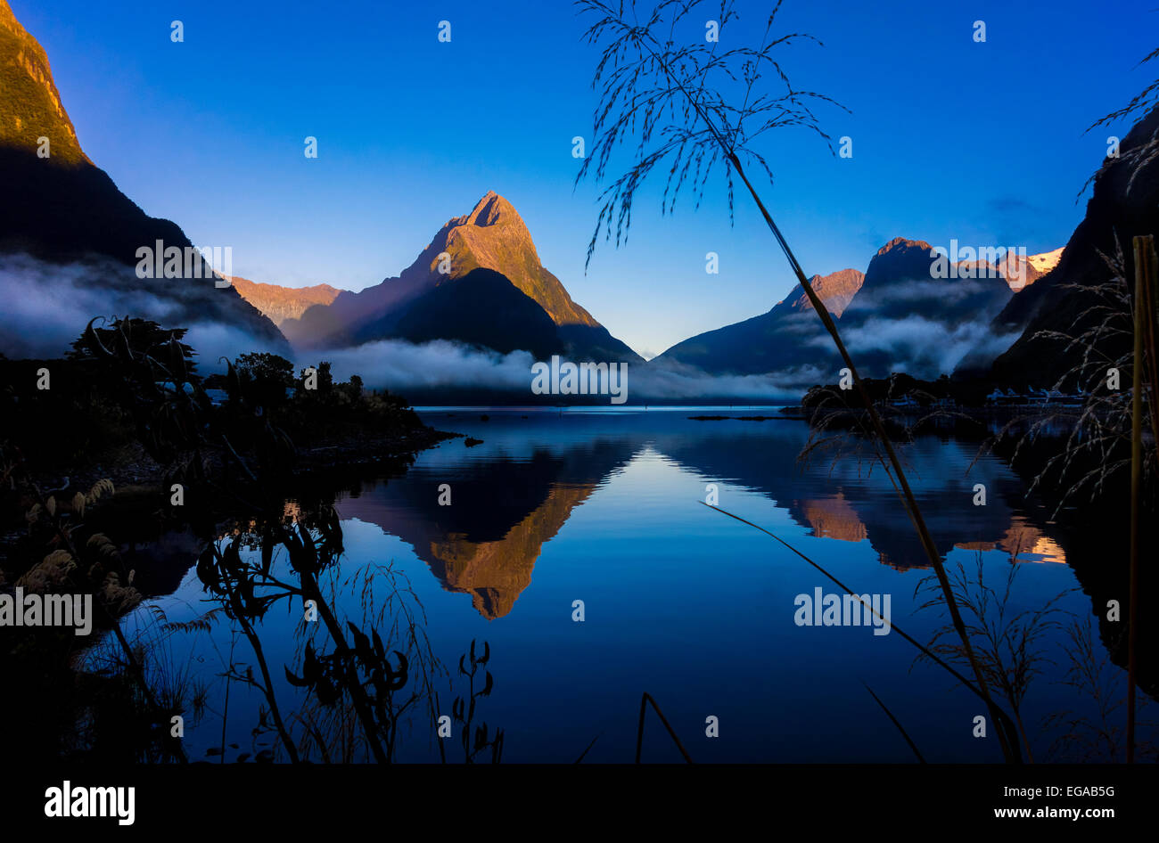 Nuova Zelanda Milford Sound con Mitre Peak nel Parco Nazionale di Fiordland in Nuova Zelanda all'alba Foto Stock