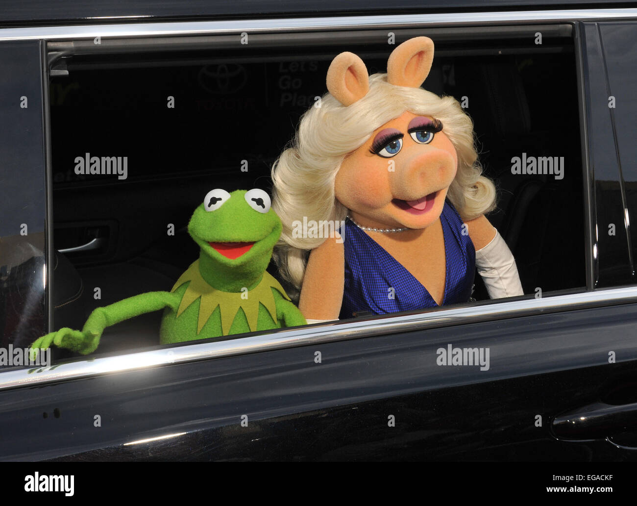 LOS ANGELES, CA - MARZO 11, 2014: i Muppets' caratteri Kermit la rana e Miss Piggy al mondo premiere del loro film Disney's 'Muppets Most Wanted' al El Capitan Theater di Hollywood. Foto Stock