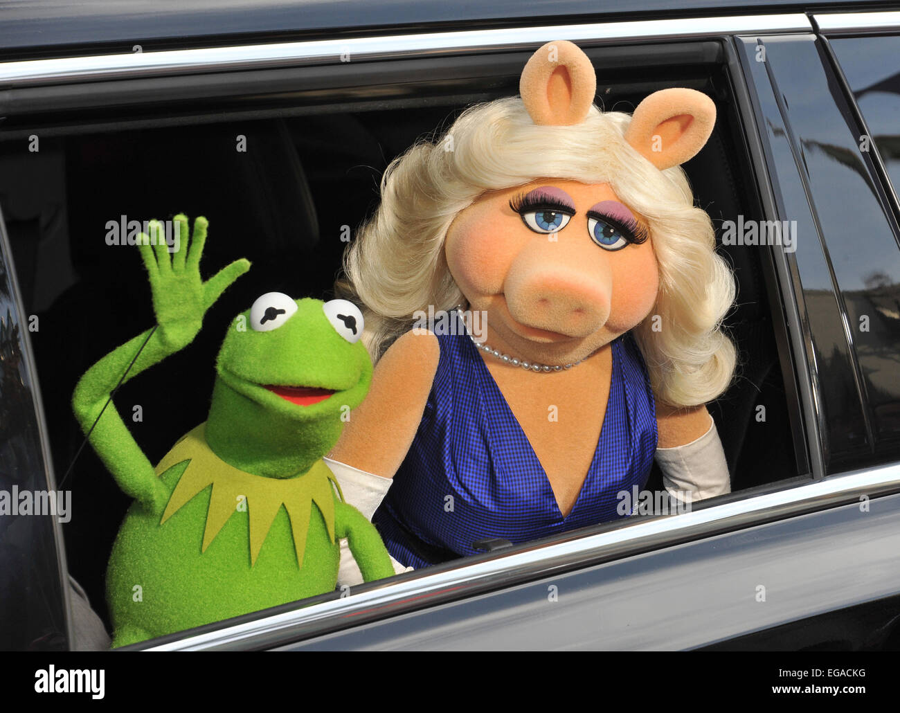 LOS ANGELES, CA - MARZO 11, 2014: i Muppets' caratteri Kermit la rana e Miss Piggy al mondo premiere del loro film Disney's 'Muppets Most Wanted' al El Capitan Theater di Hollywood. Foto Stock
