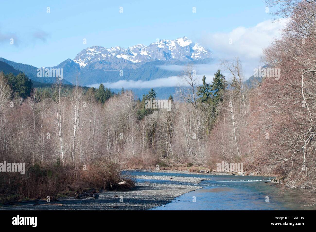 Dosewallips bacino del fiume, in inverno, con le montagne olimpiche in background, preso dalla Hwy 101,WA, Stati Uniti d'America. Foto Stock