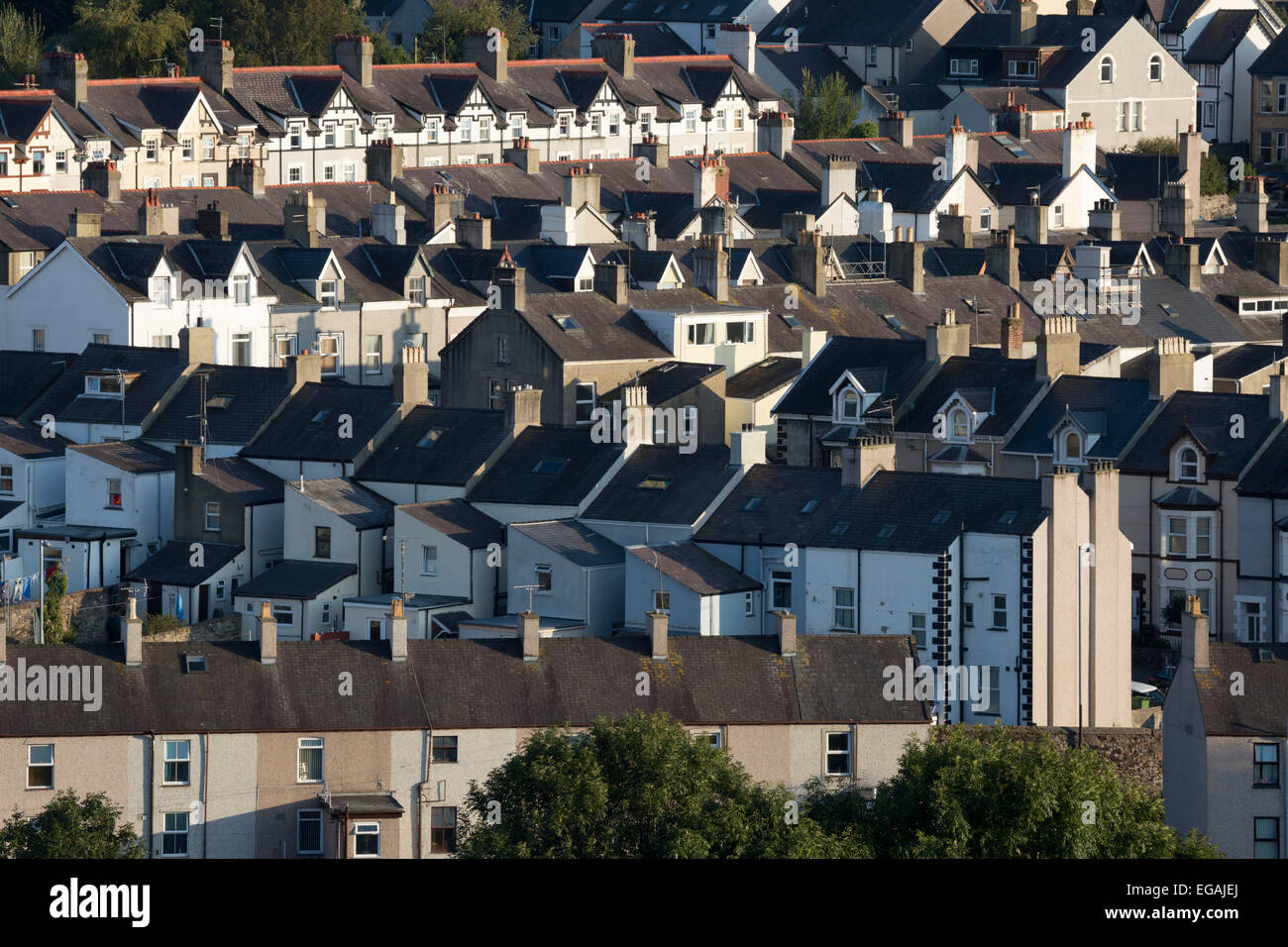 Le file di case Terrazza, Caernarfon, Gwynedd, Wales, Regno Unito, Europa Foto Stock