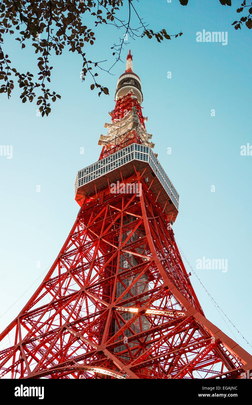 La Torre di Tokyo dalla vista base con foglie di silhouette Foto Stock