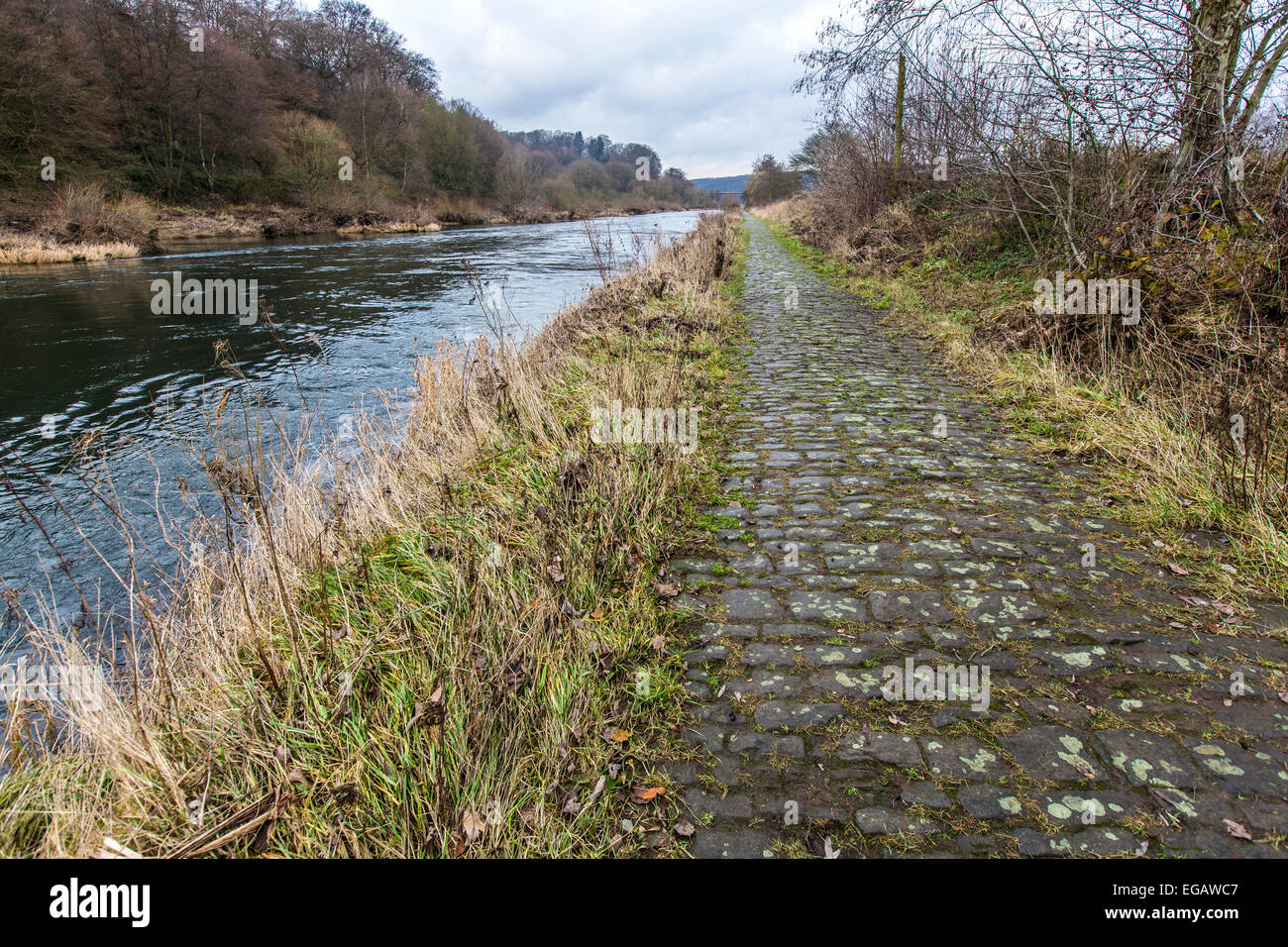 Storica strada alzaia lungo il fiume Ruhr, cento anni fa, cavalli trainare carichi più leggeri su e giù per il fiume Foto Stock