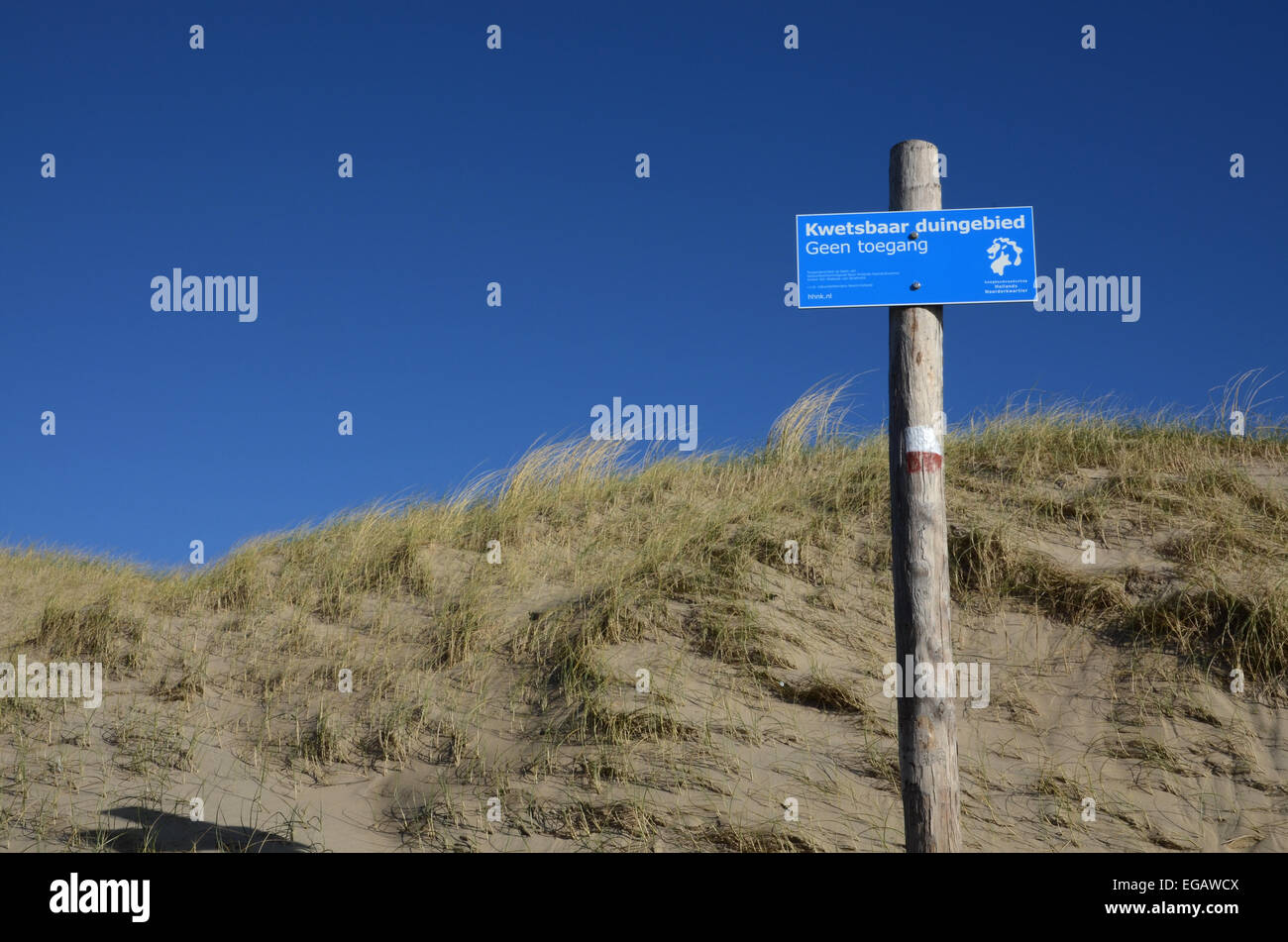 Vulnerabile paesaggio di dune, North Holland, Paesi Bassi Foto Stock