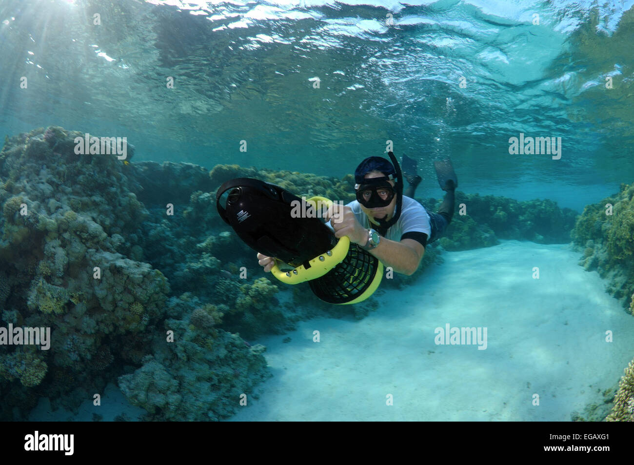 Freediver nuota per scooter subacqueo, Mar Rosso, Egitto Foto Stock