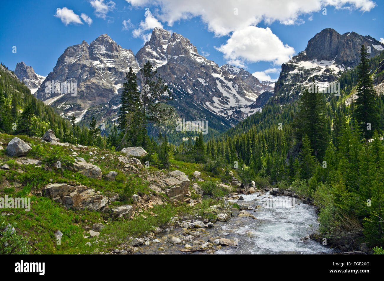Cascata Creek che scorre verso il basso Cascade Canyon nel Parco Nazionale di Grand Teton, Wyoming negli Stati Uniti. Foto Stock