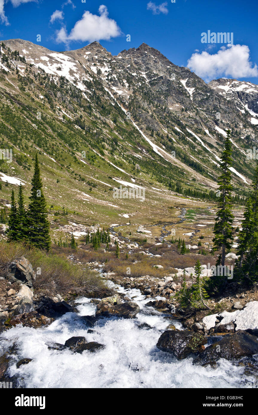 Cascata Creek, Cascade Canyon, il Parco Nazionale del Grand Teton, Wyoming negli Stati Uniti. Foto Stock