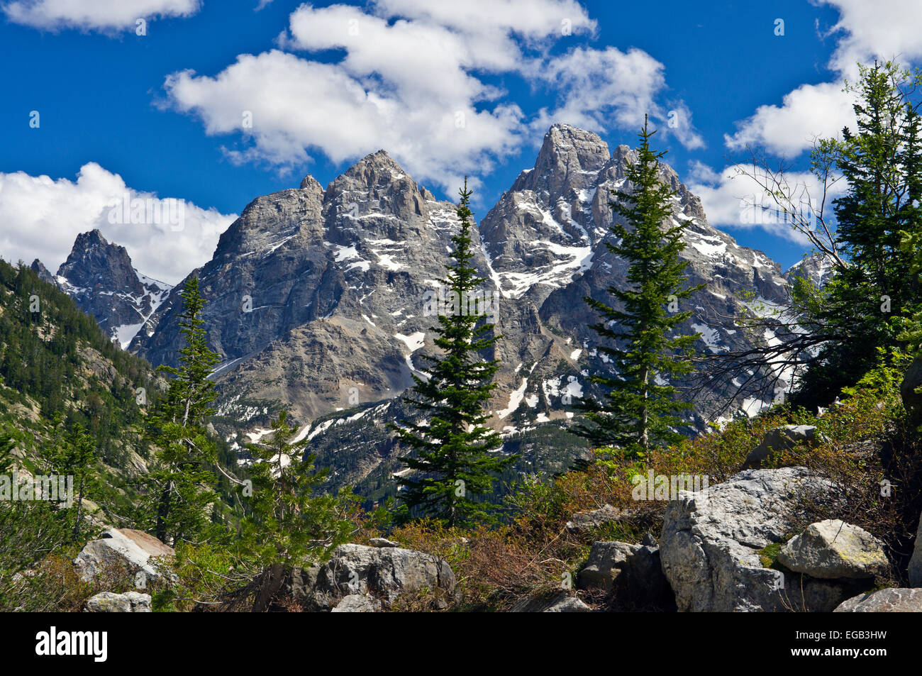 Il Parco Nazionale del Grand Teton dalla cascata Canyon Trail. Foto Stock