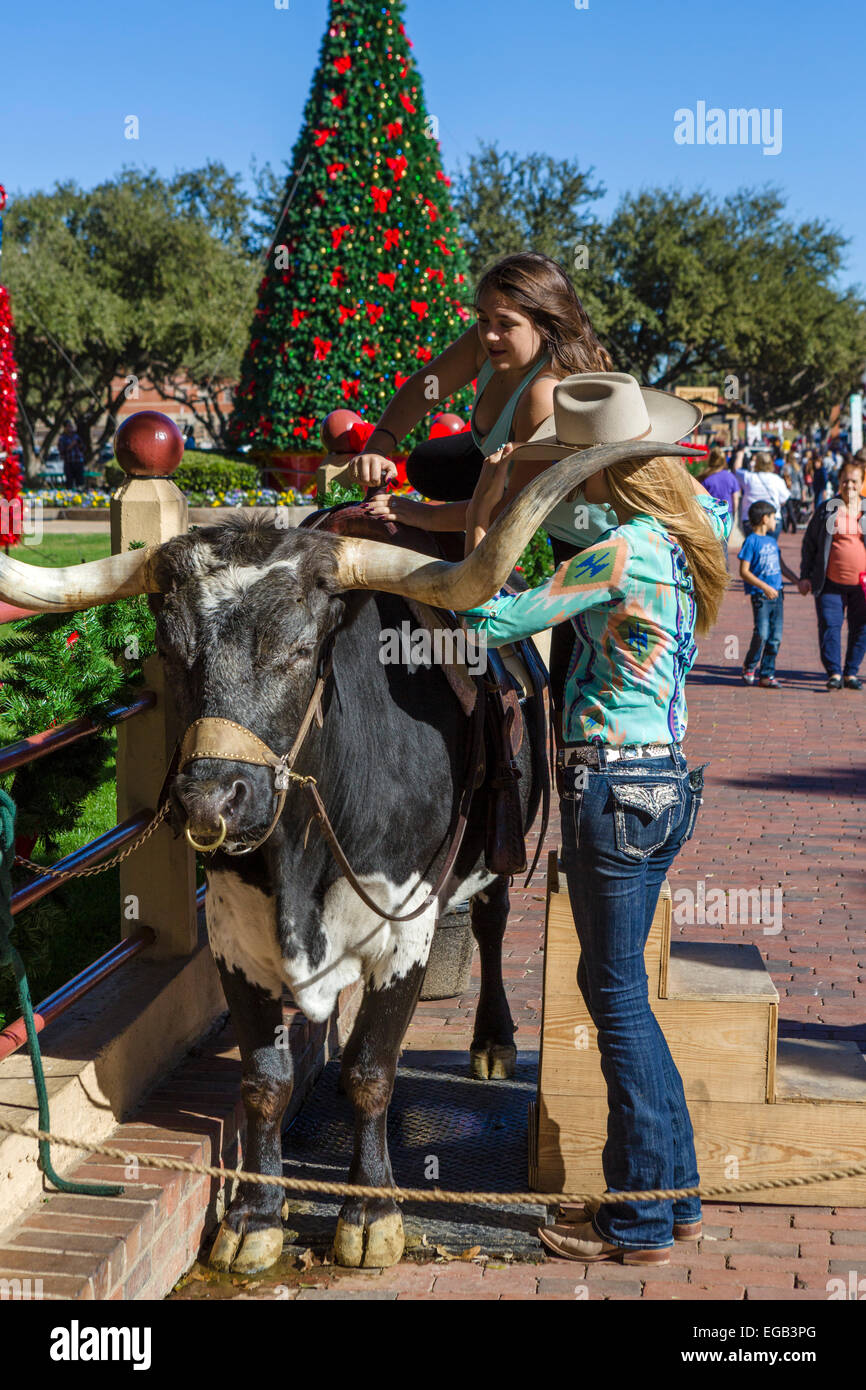 Giovane donna il montaggio di un toro di avere una fotografia scattata, Exchange Avenue, Stockyards distretto, Fort Worth, Texas, Stati Uniti d'America Foto Stock