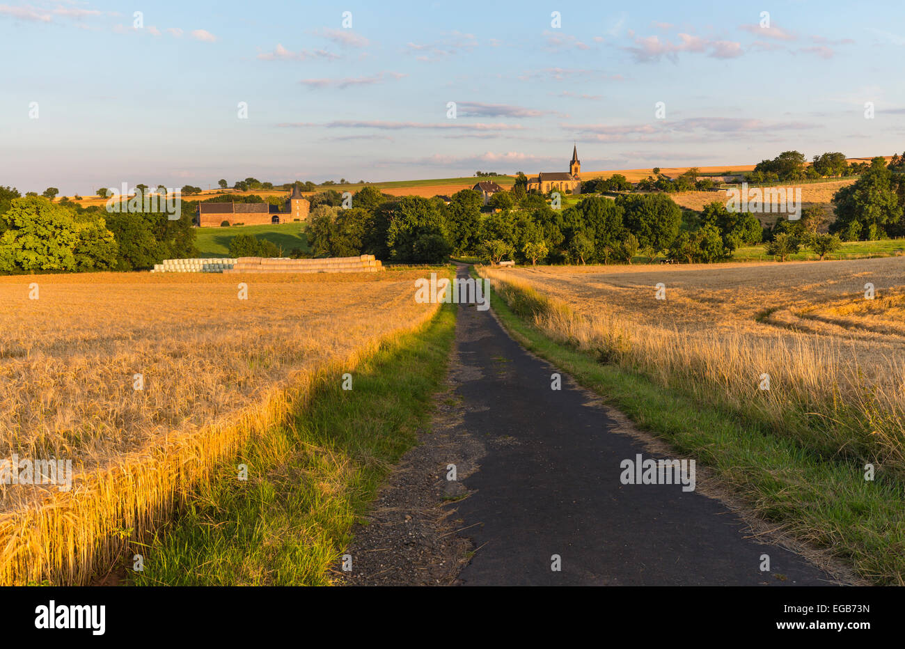 Una strada di campagna che conduce attraverso campi dorati verso un villaggio in Eifel, Germania. Foto Stock