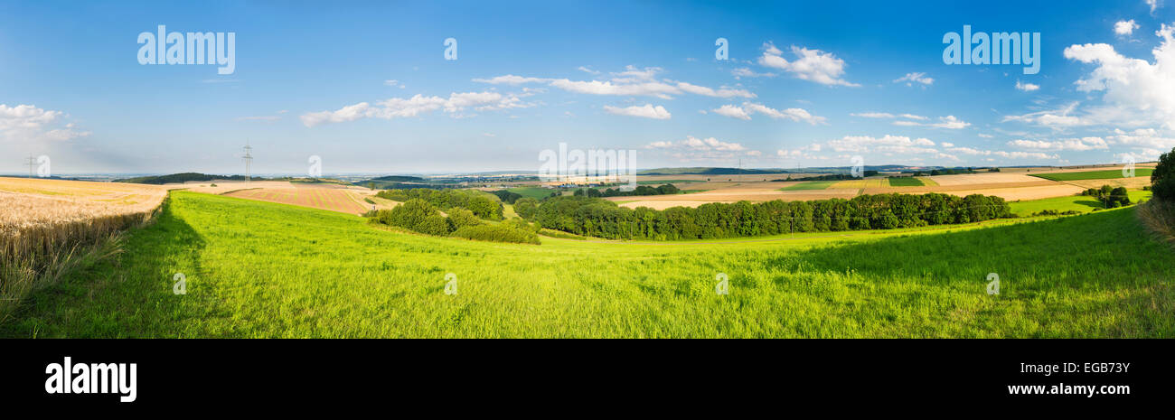 Bellissimo paesaggio a nord di Eifel in Germania, con un campo di segale in primo piano e alcune turbine eoliche in background. Foto Stock