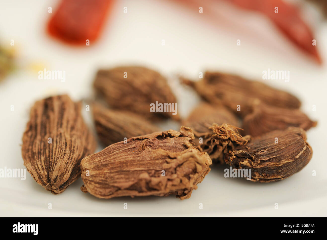 Tutto nero cialde di cardamomo Foto Stock