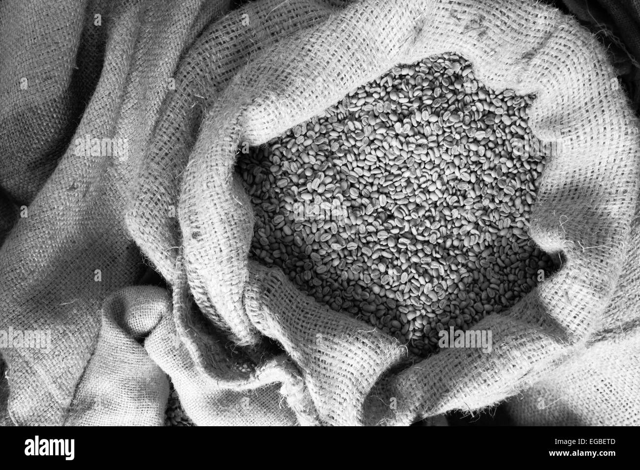 Un sacco di bulk di semi di caffè nel tostatore di magazzino. Foto Stock