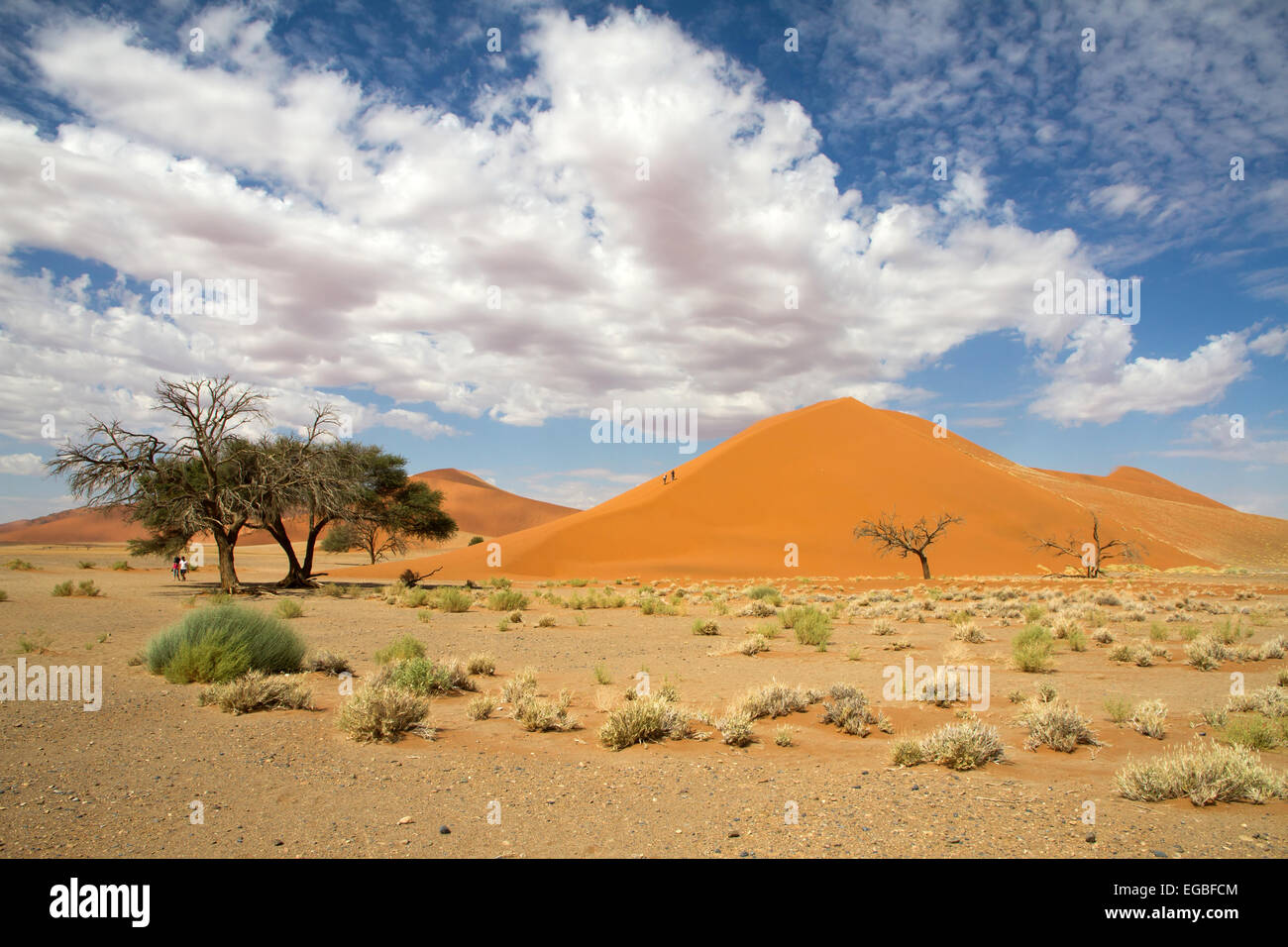 Le dune di sabbia rossa 45 del Sossusvlei desert, Namibia Foto Stock