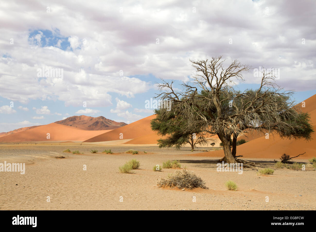 Le dune di sabbia rossa 45 del Sossusvlei desert, Namibia Foto Stock