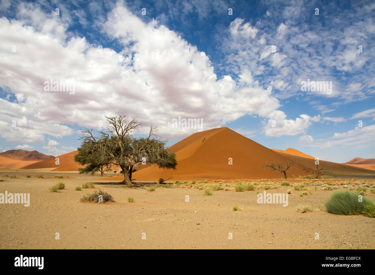 Le dune di sabbia rossa 45 del Sossusvlei desert, Namibia Foto Stock