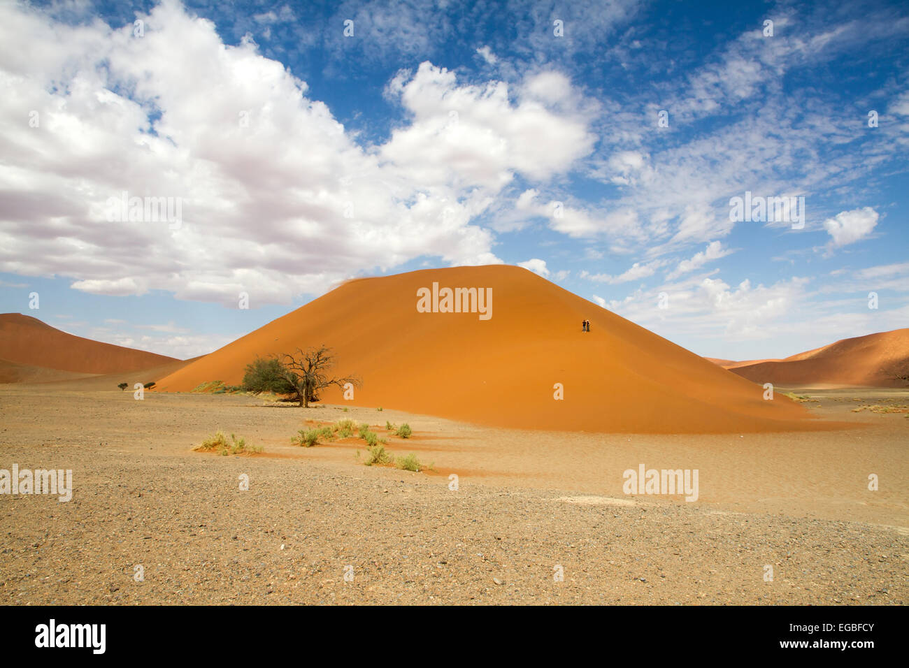 Le dune di sabbia rossa 45 del Sossusvlei desert, Namibia Foto Stock