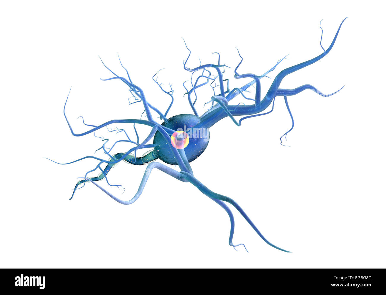 Le cellule nervose, concetto per malattie neurologiche, tumori e chirurgia cerebrale. Foto Stock