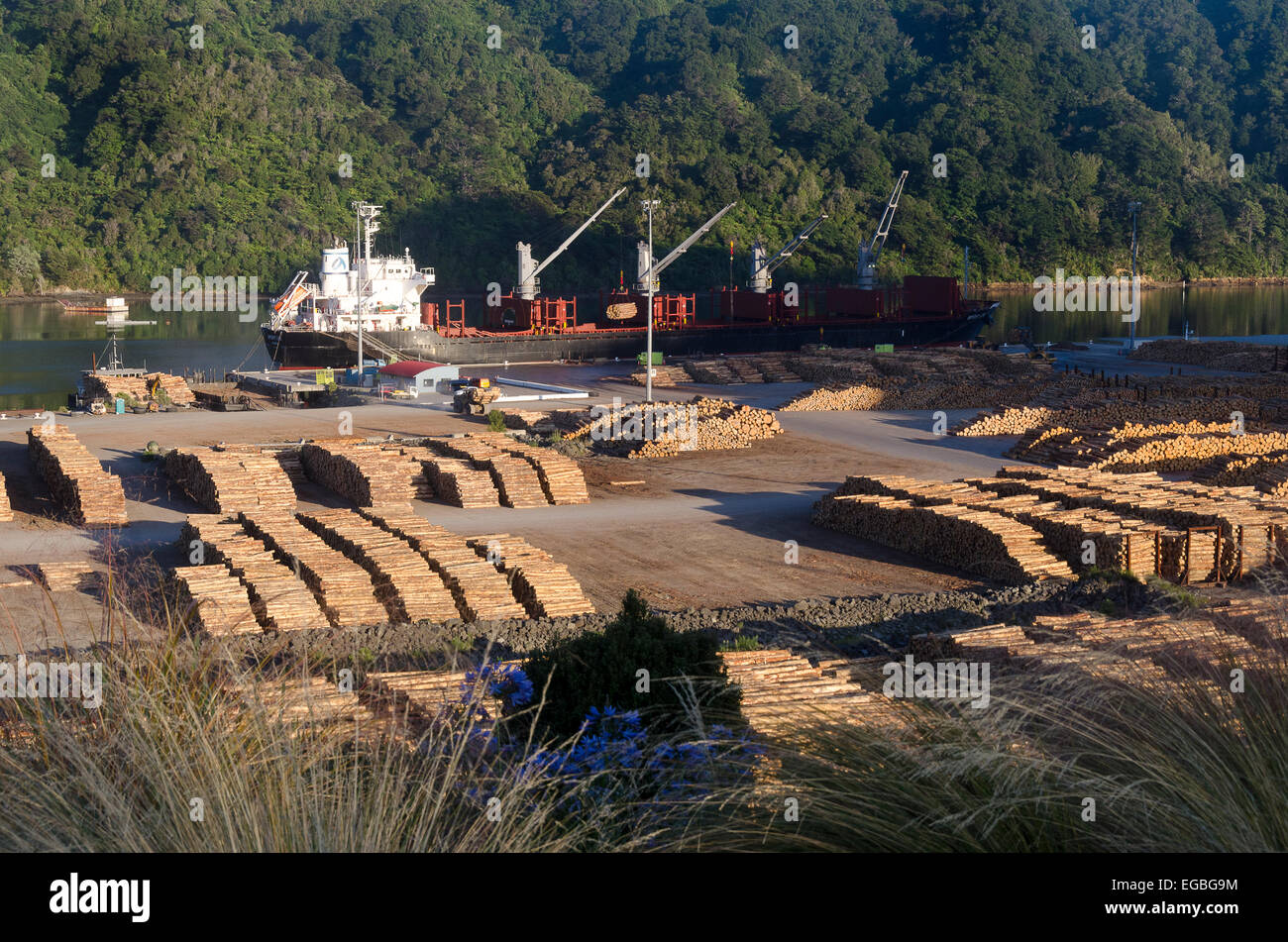 Registri su Wharf, in attesa di caricamento sulla nave, Picton Marlborough, South Island, in Nuova Zelanda. Foto Stock