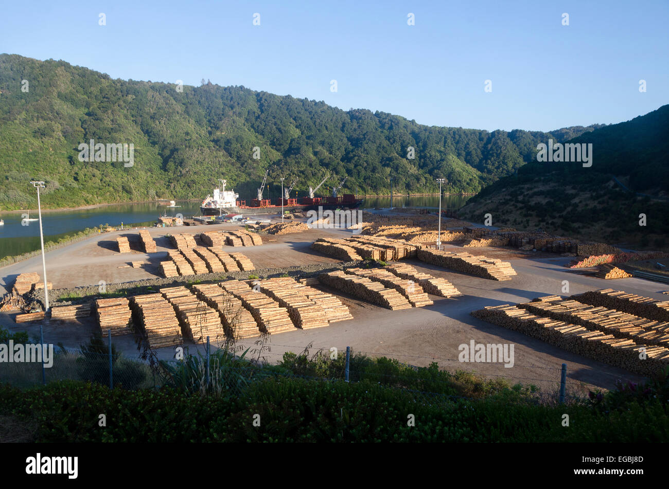 Registri su Wharf, in attesa di caricamento sulla nave, Picton Marlborough, South Island, in Nuova Zelanda. Foto Stock