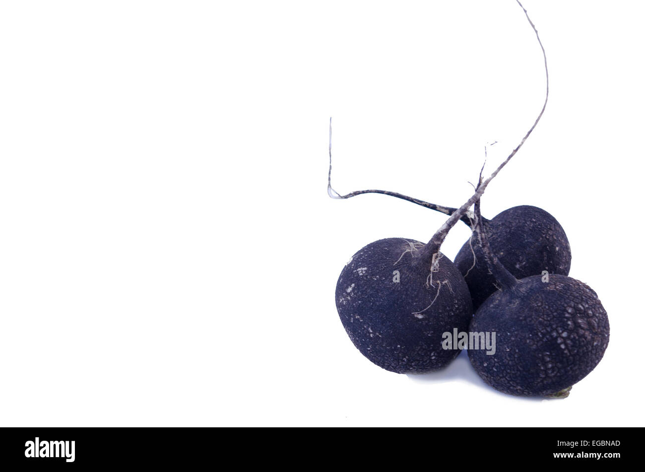 Nero tre ravanelli isolato Foto Stock