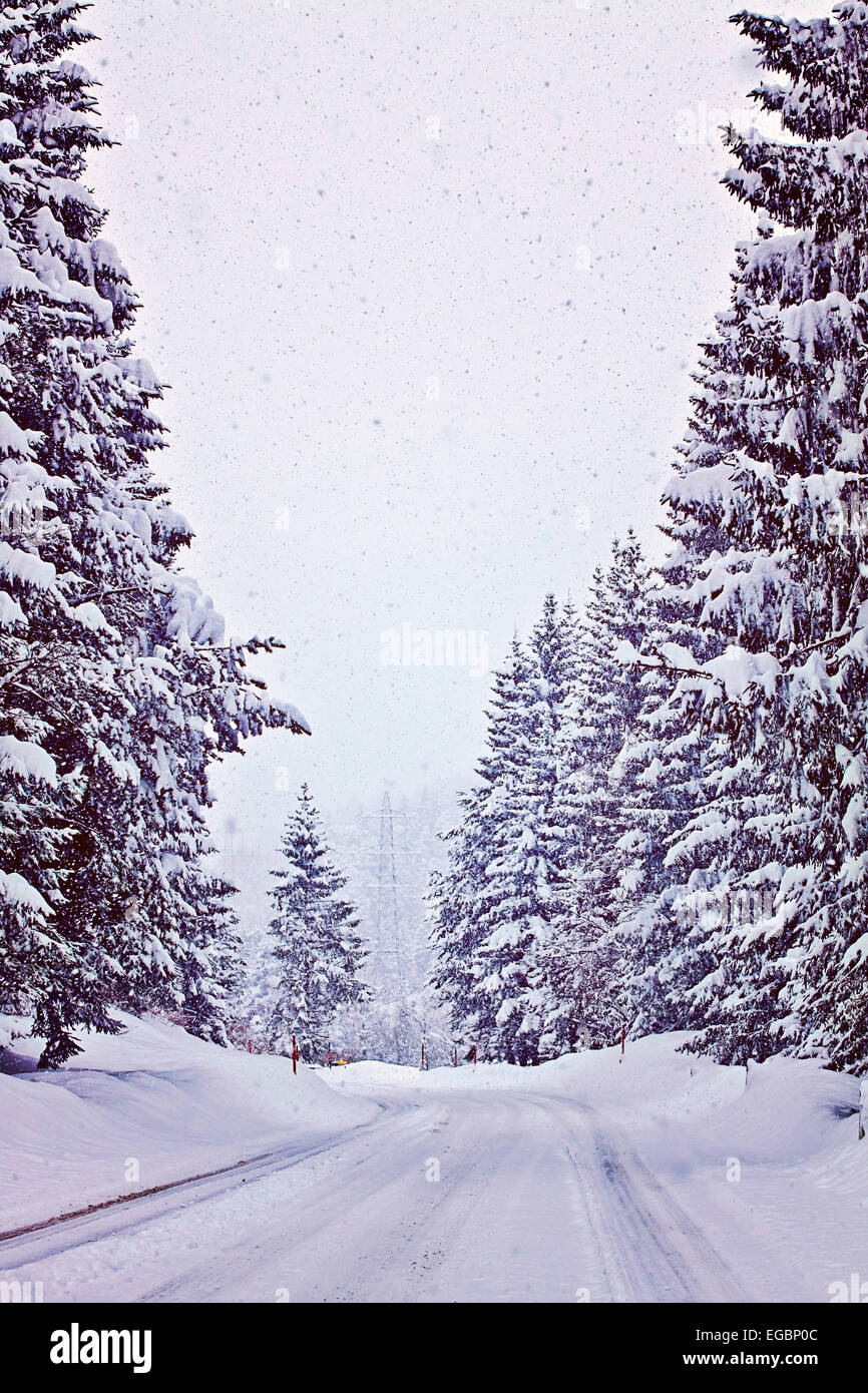Alpino austriaco itinerario tra boschi in inverno durante la nevicata, Instagram-come filtro vintage aggiunto. Foto Stock