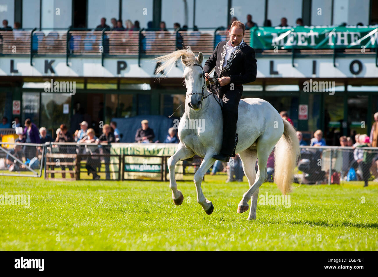 Jonathan Marshall che mostra il suo cavallo falconeria esperienza per una folla in un gioco equo nel Sussex, Regno Unito. Foto Stock