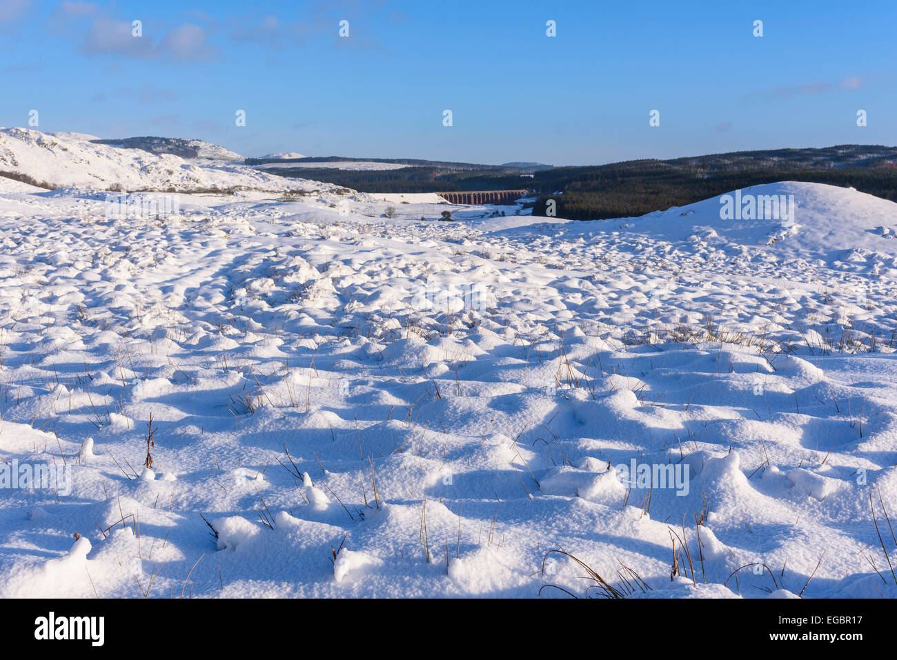 Grande acqua del viadotto della flotta in inverno la neve, vicino a Gatehouse of Fleet, Dumfries & Galloway, Scozia Foto Stock