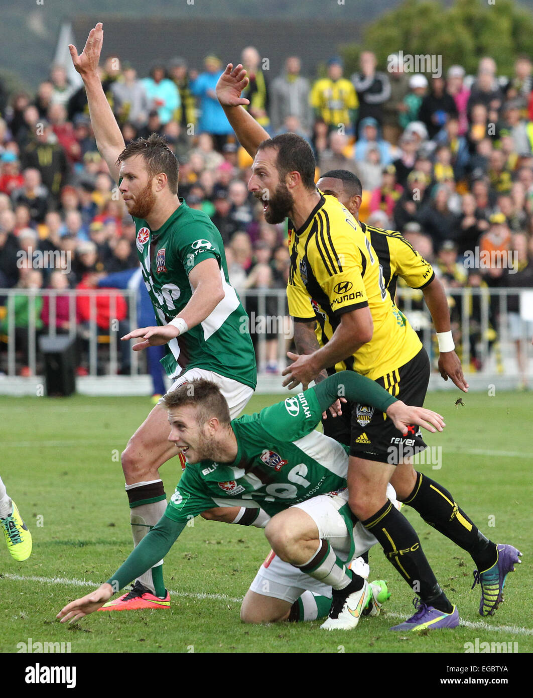 Wellington, Nuova Zelanda. Il 22 febbraio, 2015. Phoenix' Andrew duranti si unisce il coro &AMP; appelli per un obiettivo durante la UN-League football match tra il Wellington Phoenix &AMP; getti di Newcastle, al Hutt massa ricreative, Wellington, 22 febbraio 2015. Credito: Azione Sport Plus/Alamy Live News Foto Stock