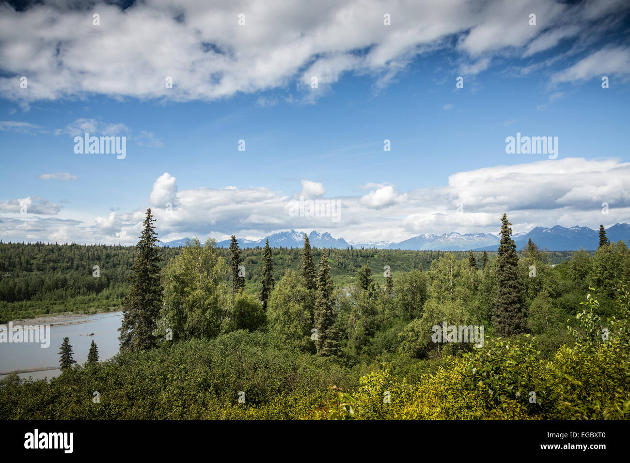 Vista sulle montagne del Parco Nazionale di Denali, Alaska, Stati Uniti d'America, America del Nord. Foto Stock