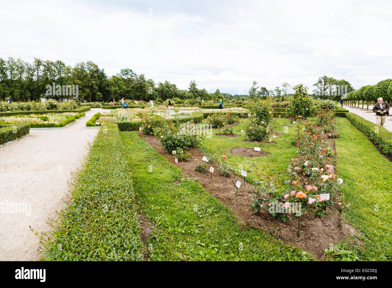 Giardini di rose, Rundale Palace Museo e Parco, Lettonia Foto Stock