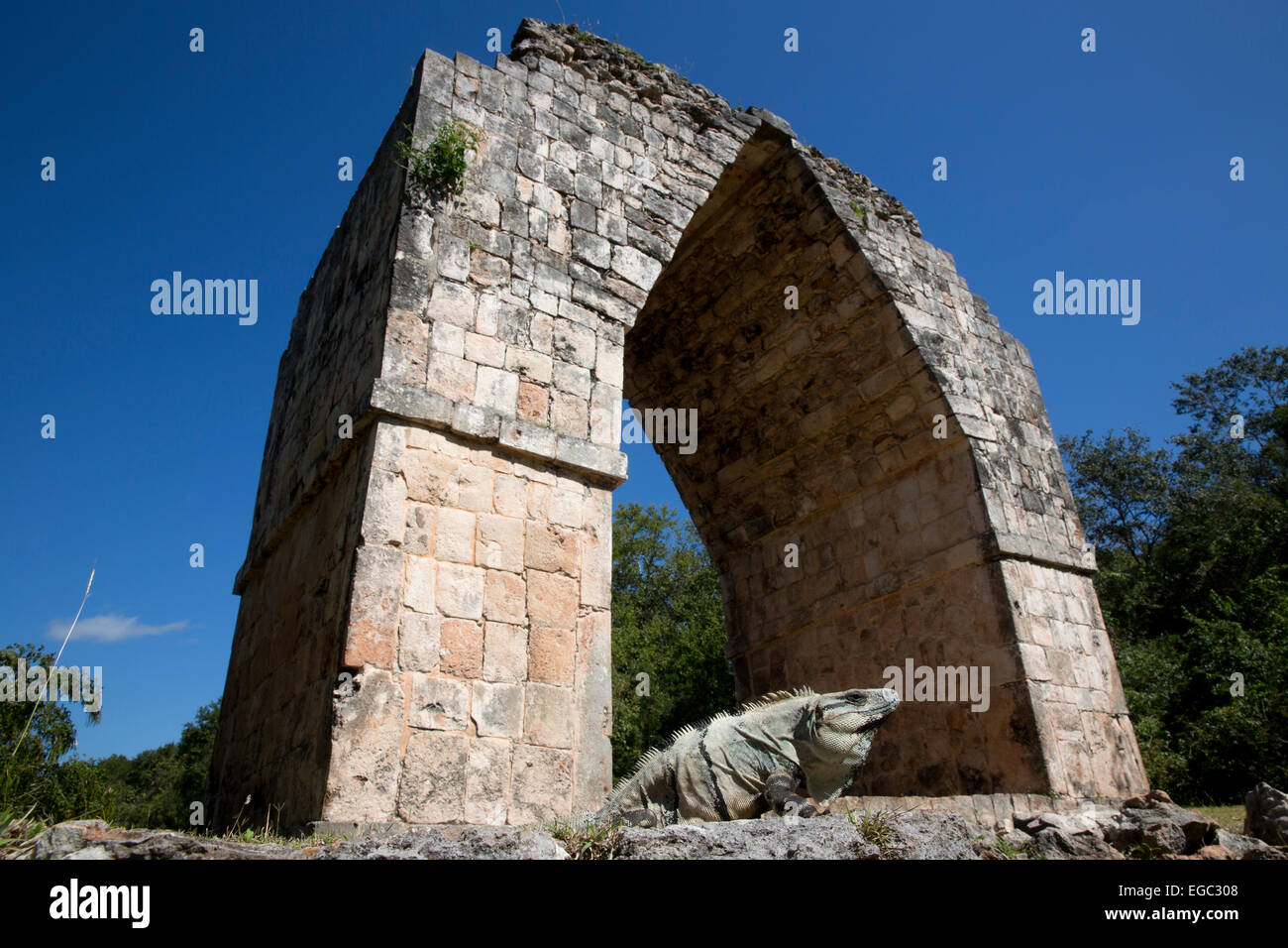 Arco, rovine Maya a Kabah, Yucatan, Messico Foto Stock