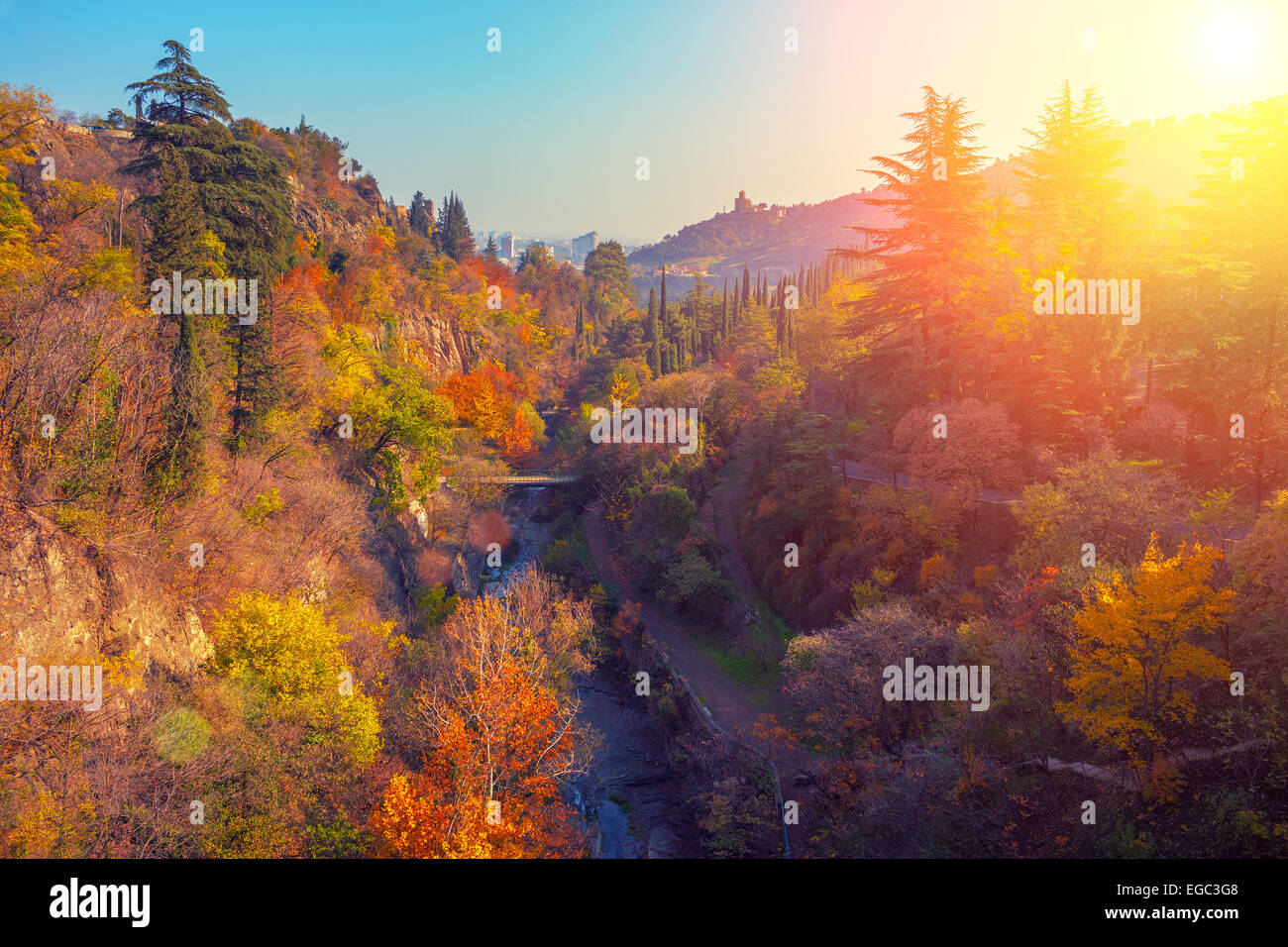 Giardino botanico al tramonto nella città di Tbilisi, Georgia paese Foto Stock