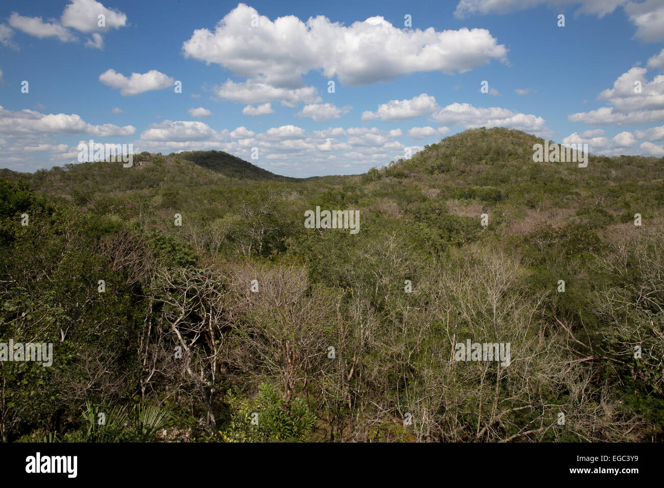 Paesaggio dello Yucatan, Sayil, Messico Foto Stock