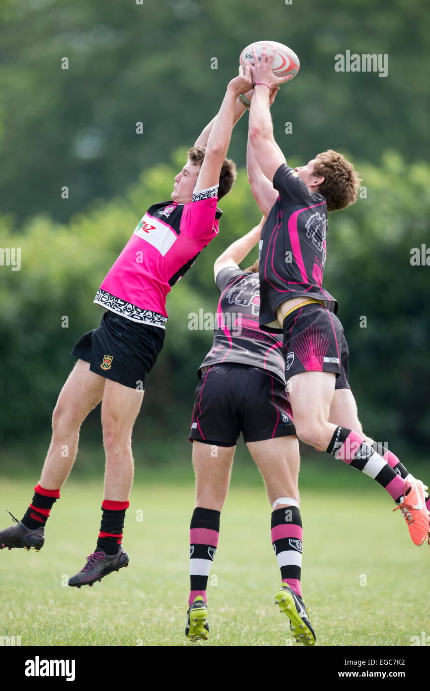 Rugby fuori linea, i giocatori in azione. Foto Stock