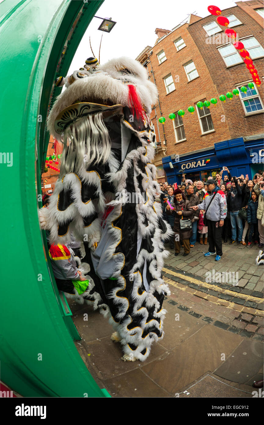 Lion Dancing in China Town London alla celebrazione dell'anno della pecora o capra 2015 Foto Stock