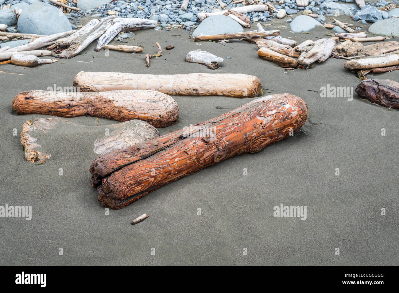 Driftwood sulla spiaggia di nascosto. Nord del litorale della California, Stati Uniti. Foto Stock