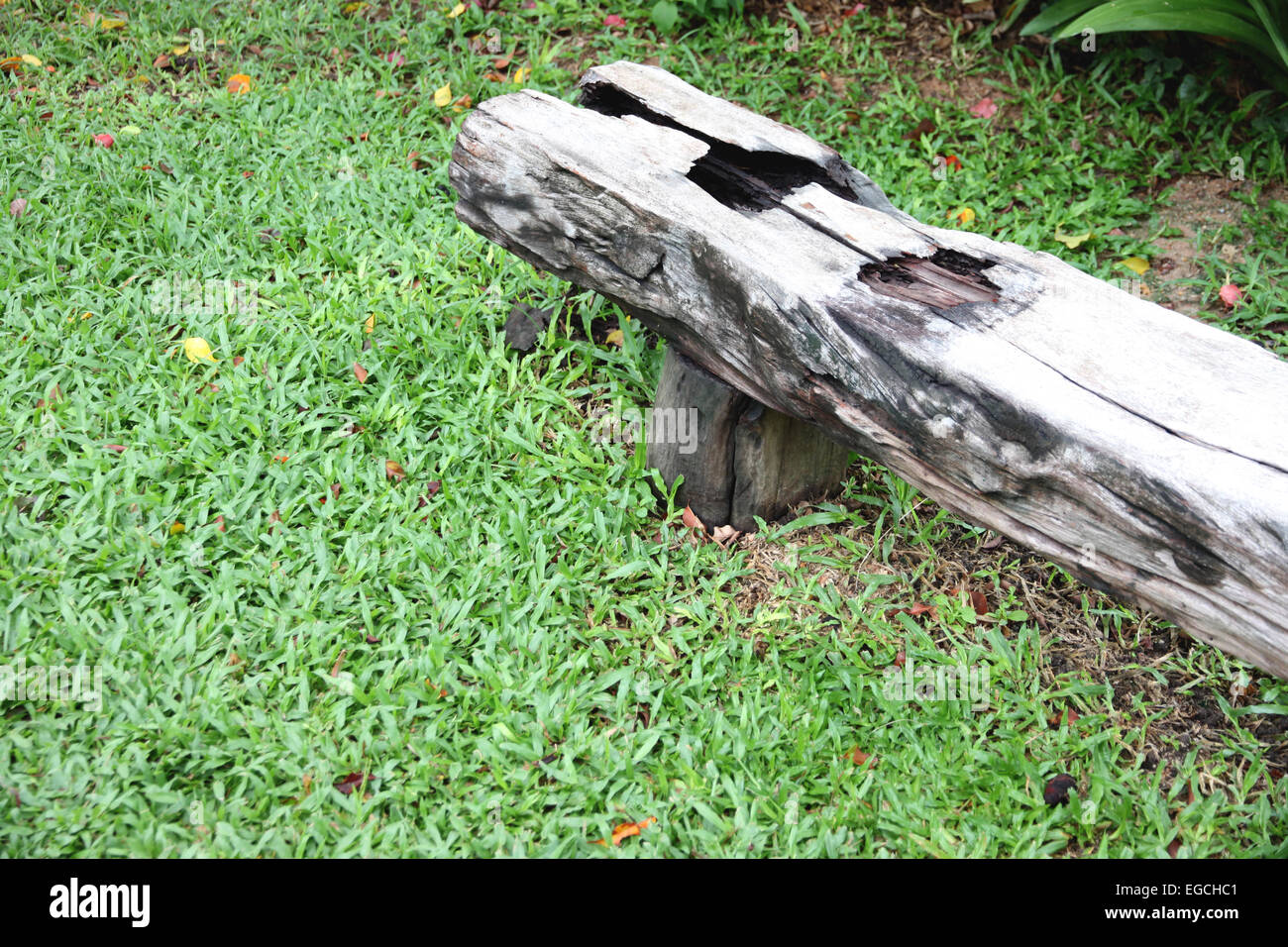 Vecchia panca di legno su erba verde in giardino. Foto Stock